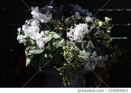 Winter white flower arrangement Winter white flower arrangement 120669923