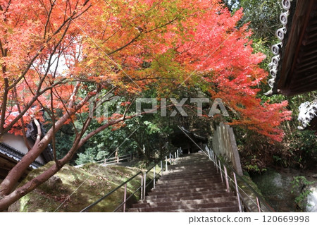 Shikoku Pilgrimage, No. 71, Yataniji Temple 120669998