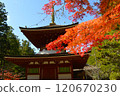 Koyasan Autumn Foliage Journey 120670230