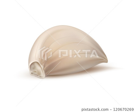 Realistic isolated garlic clove. Unpeeled ripe and raw garlic seasoning vegetable slice with papery skin encase plump bulb, ready for culinary. 3d vector clove boast a pungent aroma and robust flavor Realistic isolated garlic clove. Unpeeled ripe and raw garlic seasoning vegetable slice with papery skin encase plump bulb, ready for culinary. 3d vector clove boast a pungent aroma and robust flavor 120670269