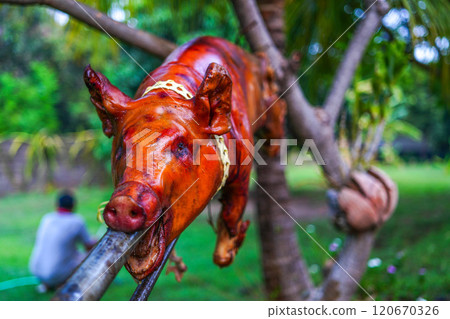 Grilled pork Grilled pork 120670326