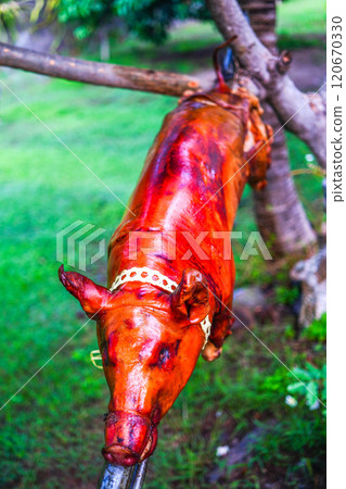 Grilled pork Grilled pork 120670330