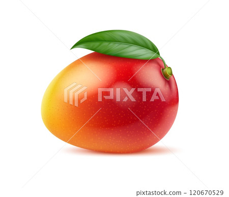 Realistic ripe raw mango fruit. Whole tropical mango with green leaf. Isolated 3d vector sweet, vibrant fruit with golden red skin concealing succulent, juicy flesh, blend of sunshine and refreshment Realistic ripe raw mango fruit. Whole tropical mango with green leaf. Isolated 3d vector sweet, vibrant fruit with golden red skin concealing succulent, juicy flesh, blend of sunshine and refreshment 120670529