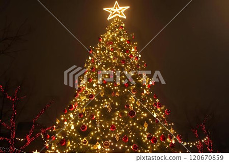 Magnificent Illuminated Christmas Tree with Star 120670859