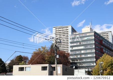 武藏小金井城市景觀 120670912