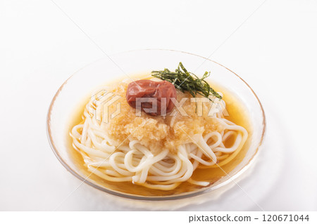 紀州南古梅冷凍磨碎梅子烏龍麵 紀州南古梅冷凍磨碎梅子烏龍麵 120671044