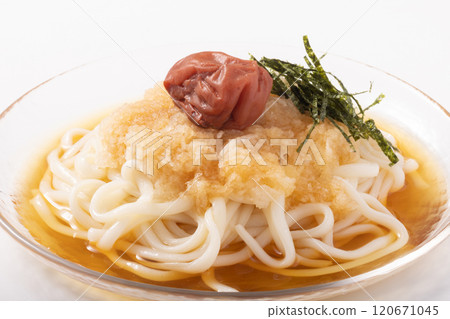 紀州南古梅冷凍磨碎梅子烏龍麵 紀州南古梅冷凍磨碎梅子烏龍麵 120671045