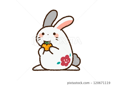 Illustration of a rabbit in the Chinese zodiac Illustration of a rabbit in the Chinese zodiac 120671119