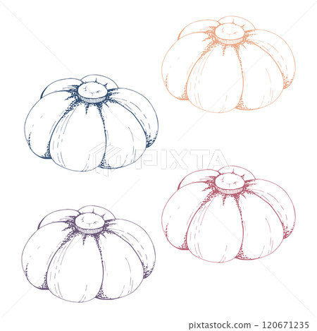 Fabric pin cushion flower, sewing craft embroidery mending seamstress supplies. Hand drawn ink vector illustration. Set of single objects isolated white background. Design atelier, tailor, hobby shop 120671235