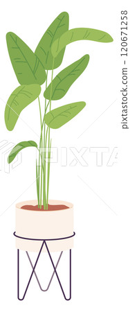 Green houseplant. Organic flora. Botanical decor icon 120671258