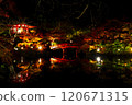 Illuminated autumn leaves and a bridge reflected in the pond at Daigoji Temple 120671315