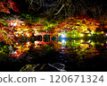 Illuminated autumn leaves and a bridge reflected in the pond at Daigoji Temple 120671324