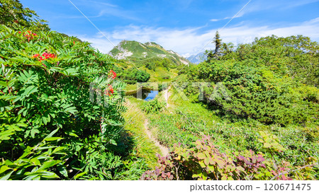 Climbing Mt. Eboshi and Mt. Minamizawa in summer (Mt. Eboshi to Mt. Minamizawa: Eboshi rice fields) Climbing Mt. Eboshi and Mt. Minamizawa in summer (Mt. Eboshi to Mt. Minamizawa: Eboshi rice fields) 120671475