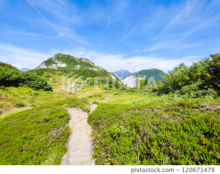 Climbing Mt. Eboshi and Mt. Minamizawa in summer (Mt. Eboshi to Mt. Minamizawa) Climbing Mt. Eboshi and Mt. Minamizawa in summer (Mt. Eboshi to Mt. Minamizawa) 120671478