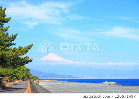 Scenery of Miho no Matsubara and Mt. Fuji, Shizuoka City, Shizuoka Prefecture Scenery of Miho no Matsubara and Mt. Fuji, Shizuoka City, Shizuoka Prefecture 120671497