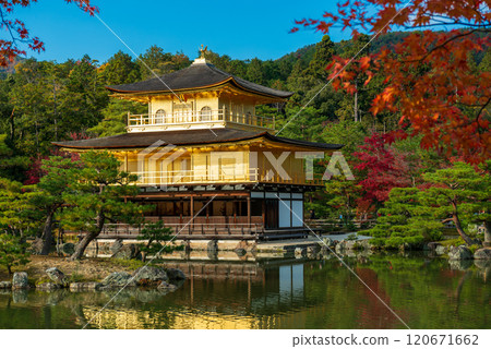 Kinkakuji Temple (Rokuonji Temple) shining in the setting sun_0871 Kinkakuji Temple (Rokuonji Temple) shining in the setting sun_0871 120671662