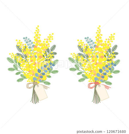 含羞草花矢量素材插畫 120671680