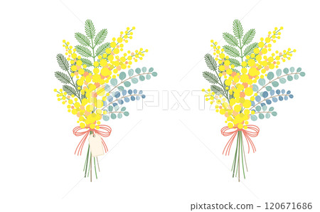Mimosa flower vector material illustration 120671686