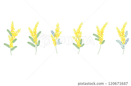 含羞草花矢量素材插畫 120671687