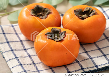 persimmon persimmon sweet fruit fresh ripe top view ripe sweet persimmon あまかき sweet persimmon persimmon persimmon sweet fruit fresh ripe top view ripe sweet persimmon あまかき sweet persimmon 120671750