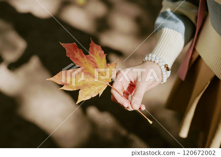 High angle view of unrecognizable girls hand holding yellow maple leaf on sunny autumn day 120672002
