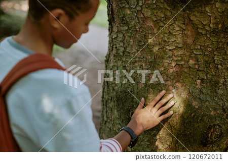 High angle view of Black teenager touching surface of old tree trunk in local park or botanical garden 120672011