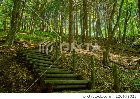 Spring in Gunma Prefecture: Suzuriiwa near Lake Haruna, and the hiking trail leading to Mount Kabukigatake at around 1200m 120672025