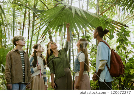 Young female tour guide working in botanical garden greenhouse showing sabal palm leaves to group of teenagers 120672277