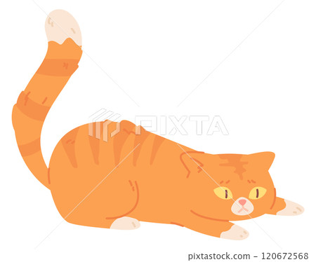 Frightened cat. Scary pet. Cute sad animal 120672568
