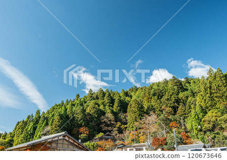 鞍馬針葉林 京都市 120673646