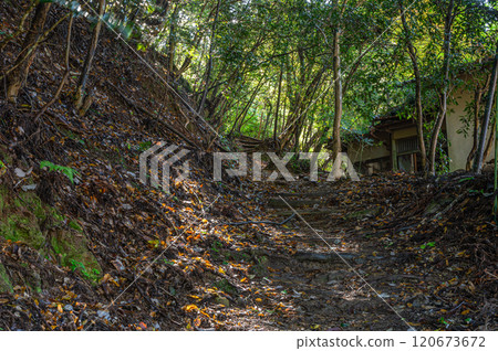 京都市鞍馬森林健行路線 京都市鞍馬森林健行路線 120673672