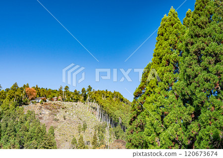 Kurama forest scenery, Kyoto city 120673674