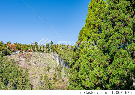 鞍馬山森林景觀 京都市 120673676
