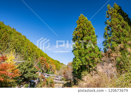Late autumn forest scenery of Kurama, Kyoto City Late autumn forest scenery of Kurama, Kyoto City 120673679