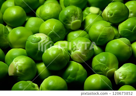 Farm fresh organic brussels sprouts harvest ready for market sale 120673852