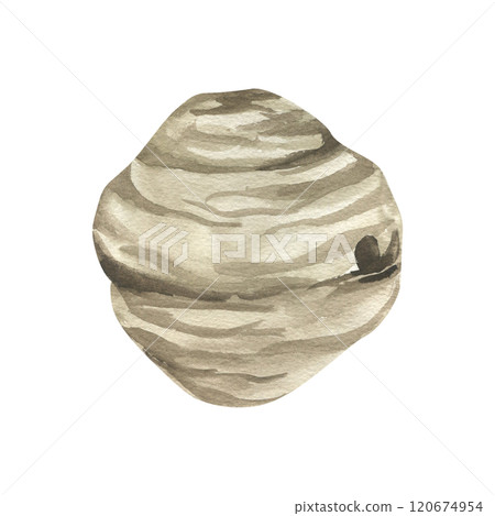 Beehive for beekeeping farm watercolor illustration. Hand drawn bee house, wild bees home clipart, isolated element for organic farm logo, eco food packing, beekeeper textile,poster design. Beehive for beekeeping farm watercolor illustration. Hand drawn bee house, wild bees home clipart, isolated element for organic farm logo, eco food packing, beekeeper textile,poster design. 120674954