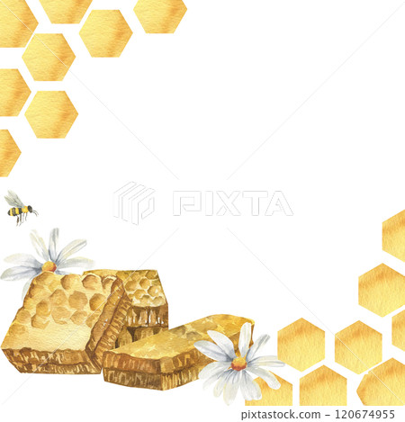 Organic honey watercolor square frame with honeycombs, chamomile flowers and bees. Hand drawn isolated template for eco farm food label, packing. Sweet snack for brunch menu design 120674955
