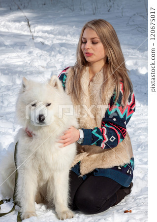 A beautiful young blonde with a white husky dog 120675017