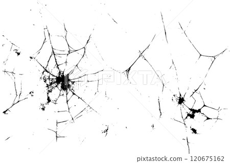 Vector grunge texture of spider web on dark background. Black seamless pattern with creepy cobweb. Spooky design isolated for Halloween 120675162
