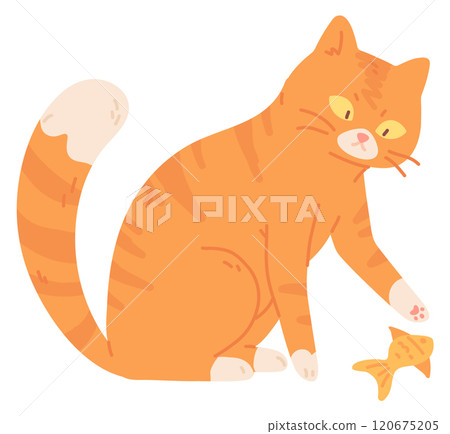 Cat catch fish. Color pet sitting icon Cat catch fish. Color pet sitting icon 120675205