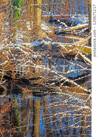 Snow-covered branches reflected in a peaceful stream, creating a serene and natural winter landscape Snow-covered branches reflected in a peaceful stream, creating a serene and natural winter landscape 120675217