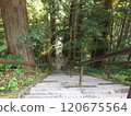 Torii gate visible at the end of the approach 120675564