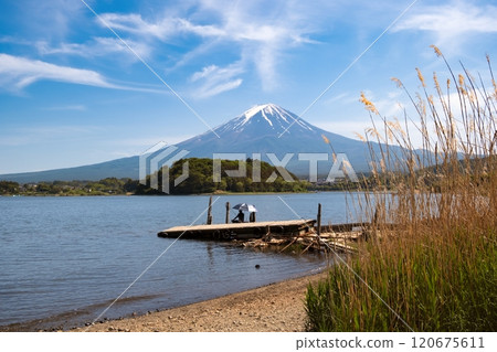 Mt. Fuji on a Sunny Day from lake Yamanaka, Yamanashi, Japan Mt. Fuji on a Sunny Day from lake Yamanaka, Yamanashi, Japan 120675611