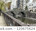 Spectacle bridge 120675624
