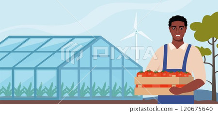 Black man farmer stands near greenhouse and holding box of tomatoes in hands. Farming plant cultivation. Design for agriculture, horticulture or agronomy. Template for banner, poster, flyer. Vector. Black man farmer stands near greenhouse and holding box of tomatoes in hands. Farming plant cultivation. Design for agriculture, horticulture or agronomy. Template for banner, poster, flyer. Vector. 120675640