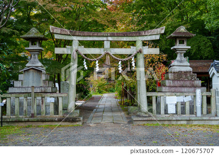 Munakata Shrine in Autumn at Kyoto Imperial Palace 120675707