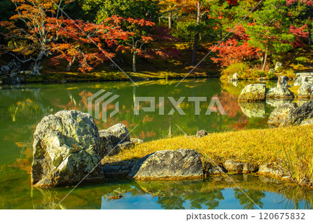 [Kyoto Scenery] Tenryu-ji Temple: A stroll-style garden with a pond and autumn leaves 120675832
