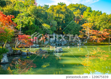 【京都風光】天龍寺秋葉池漫步庭園 【京都風光】天龍寺秋葉池漫步庭園 120675839