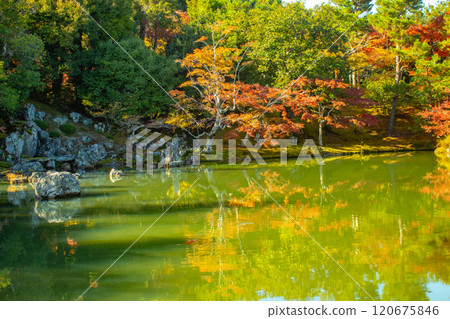 【京都風光】天龍寺秋葉池漫步庭園 120675846
