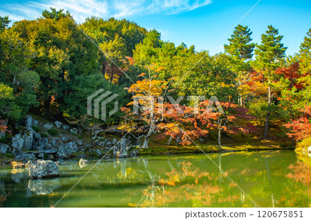 【京都風光】天龍寺秋葉池漫步庭園 【京都風光】天龍寺秋葉池漫步庭園 120675851